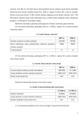 Investicinis portfelis - kelios lietuviškos įmonės 5 puslapis