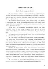 Investicinis portfelis - kelios lietuviškos įmonės 8 puslapis