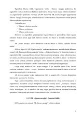 Investicinis portfelis - kelios lietuviškos įmonės 9 puslapis