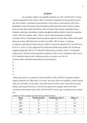 Kontrolės sistema įmonėje 2 puslapis