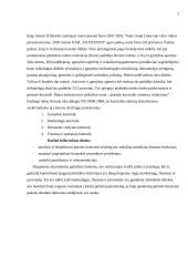 Kontrolės sistema įmonėje 3 puslapis