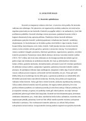 Kontrolės sistema įmonėje 4 puslapis