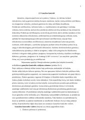 Kontrolės sistema įmonėje 5 puslapis