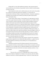 Kontrolės sistema įmonėje 7 puslapis