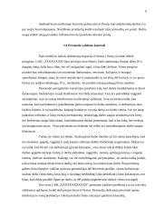 Kontrolės sistema įmonėje 9 puslapis