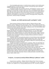 Makroekonomikos straipsnių analizės 2 puslapis