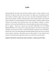 Mokymosi visą gyvenimą memorandumo 2 tezių nagrinėjimas 2 puslapis