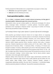 Mokymosi visą gyvenimą memorandumo 2 tezių nagrinėjimas 3 puslapis