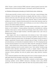 Mokymosi visą gyvenimą memorandumo 2 tezių nagrinėjimas 4 puslapis