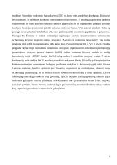 Mokymosi visą gyvenimą memorandumo 2 tezių nagrinėjimas 7 puslapis