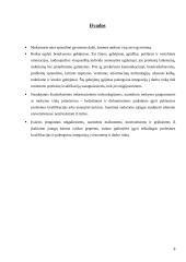 Mokymosi visą gyvenimą memorandumo 2 tezių nagrinėjimas 8 puslapis