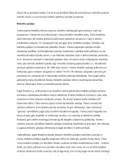 Nedarbo apskaičiavimas 6 puslapis