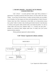 Paskirstymo kanalai: UAB "Telsona" 2 puslapis