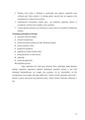 Paskirstymo kanalai: UAB "Telsona" 11 puslapis