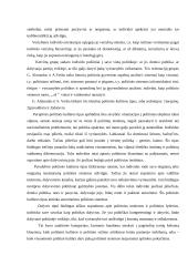 Politinės kultūros samprata 3 puslapis