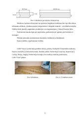 Praktinė rinkodaros analizė: UAB "Igva" 11 puslapis