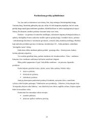 Praktinė rinkodaros analizė: UAB "Igva" 14 puslapis