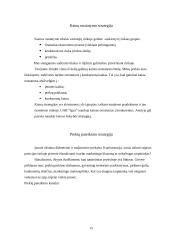 Praktinė rinkodaros analizė: UAB "Igva" 15 puslapis