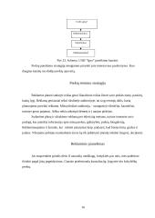 Praktinė rinkodaros analizė: UAB "Igva" 16 puslapis