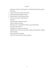 Praktinė rinkodaros analizė: UAB "Igva" 3 puslapis