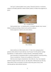 Praktinė rinkodaros analizė: UAB "Igva" 4 puslapis