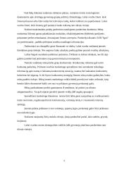 Praktinė rinkodaros analizė: UAB "Igva" 5 puslapis