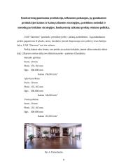 Praktinė rinkodaros analizė: UAB "Igva" 8 puslapis