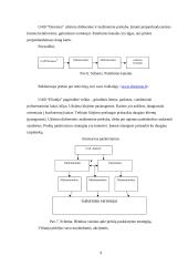 Praktinė rinkodaros analizė: UAB "Igva" 9 puslapis