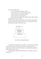 Praktinė rinkodaros analizė: UAB "Igva" 10 puslapis