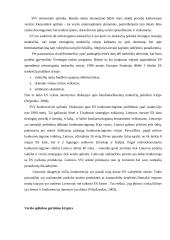 Smulkiojo ir vidutinio verslo (SVV) analizė Lietuvoje ir Europos Sąjungoje (ES) 2 puslapis