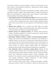 Smulkiojo ir vidutinio verslo (SVV) analizė Lietuvoje ir Europos Sąjungoje (ES) 3 puslapis