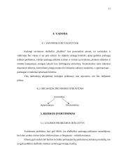 Verslo planas: savitarnos skalbykla PĮ "Skalbita" 11 puslapis