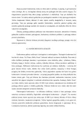 Verslo planas: savitarnos skalbykla PĮ "Skalbita" 6 puslapis