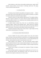 Verslo planas: savitarnos skalbykla PĮ "Skalbita" 7 puslapis