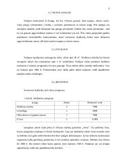 Verslo planas: savitarnos skalbykla PĮ "Skalbita" 9 puslapis