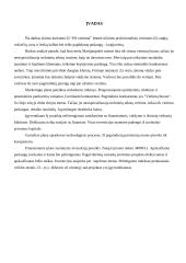 Verslo planas: vertimų biuras IĮ "ISI vertimai" 2 puslapis