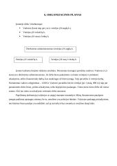 Verslo planas: vertimų biuras IĮ "ISI vertimai" 11 puslapis