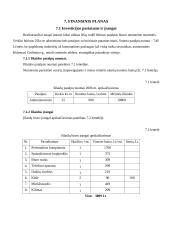 Verslo planas: vertimų biuras IĮ "ISI vertimai" 12 puslapis