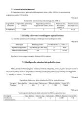 Verslo planas: vertimų biuras IĮ "ISI vertimai" 13 puslapis