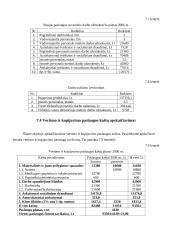 Verslo planas: vertimų biuras IĮ "ISI vertimai" 14 puslapis