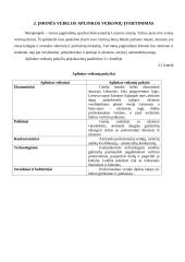 Verslo planas: vertimų biuras IĮ "ISI vertimai" 4 puslapis