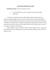 Verslo planas: vertimų biuras IĮ "ISI vertimai" 5 puslapis