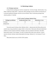 Verslo planas: vertimų biuras IĮ "ISI vertimai" 7 puslapis