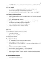 Verslo plano struktūra ir turinys 11 puslapis