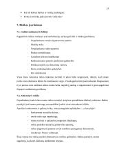 Verslo plano struktūra ir turinys 12 puslapis