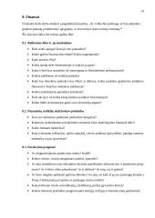 Verslo plano struktūra ir turinys 13 puslapis