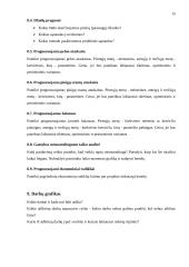 Verslo plano struktūra ir turinys 14 puslapis