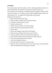 Verslo plano struktūra ir turinys 15 puslapis