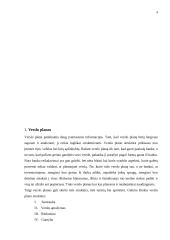 Verslo plano struktūra ir turinys 3 puslapis