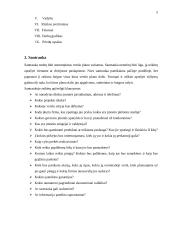 Verslo plano struktūra ir turinys 4 puslapis